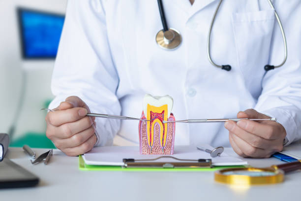 Best Dental Abscess Treatment in Roundup, MT